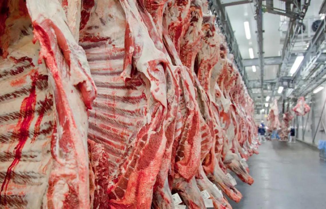 Governo federal promete reverter veto da União Europeia a carnes e animais brasileiros