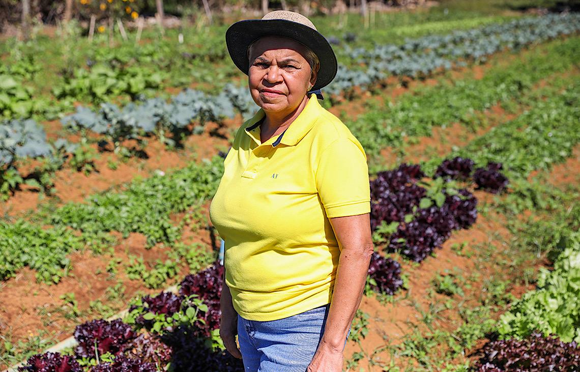 Com apoio técnico do Governo do DF, agricultores de baixa renda ampliam produção no DF