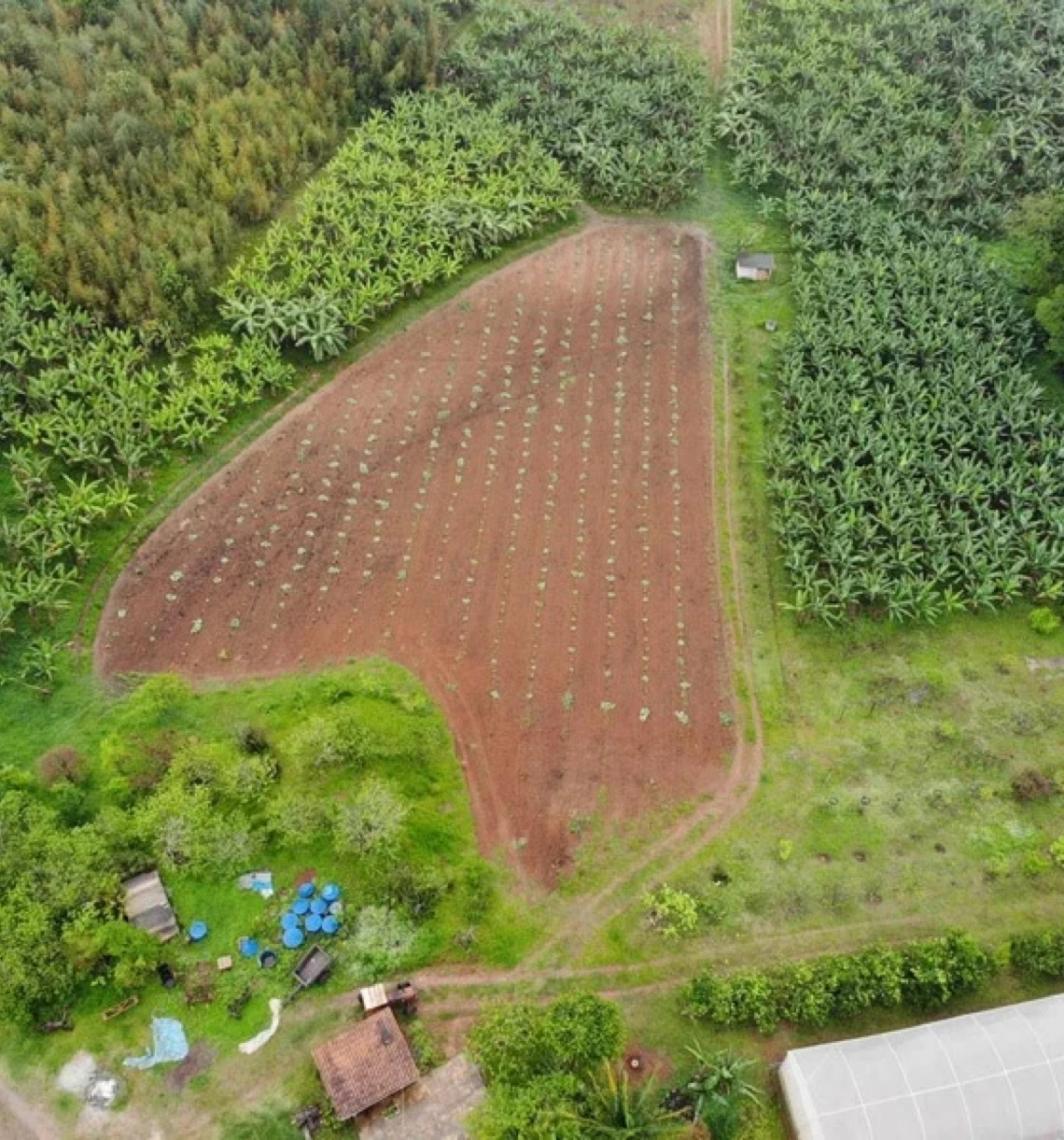 Conselho Monetário adia para 2027 bloqueio a crédito rural para produtores com desmatamento
