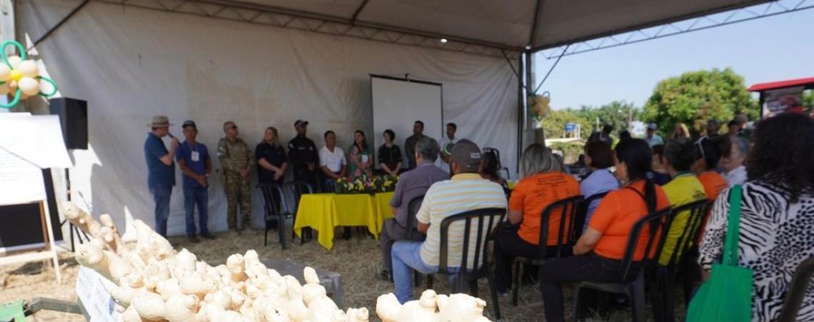 Dia Especial do Gengibre movimenta Vargem Bonita com programação técnica e cultural neste fim de semana
