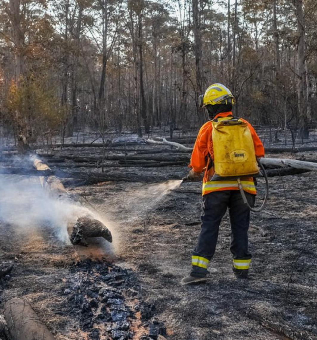 Governo do DF decreta emergência ambiental para reforçar combate a incêndios florestais
