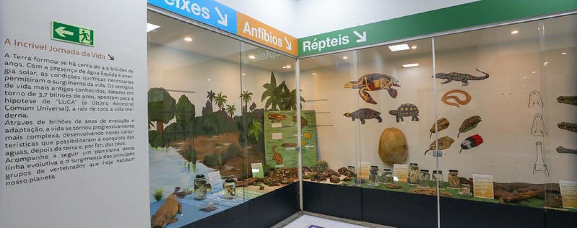 Museu de Ciências Naturais do Zoológico de Brasília é reaberto após reforma