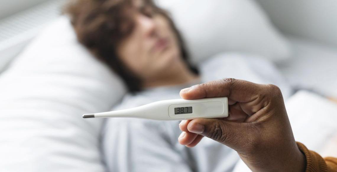 Saiba os sintomas e como se prevenir da hantavirose, doença transmitida por roedores silvestres