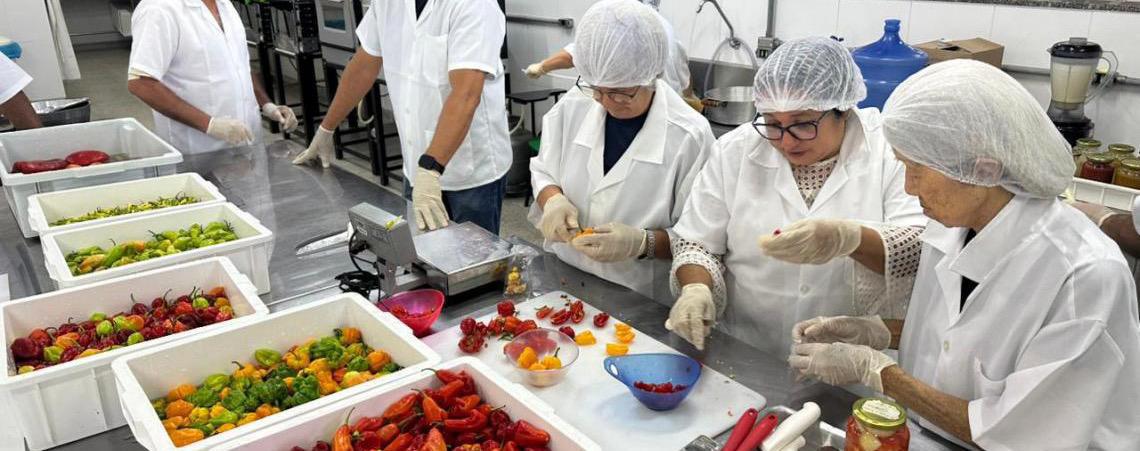 Cultivo de pimentas e outras tecnologias são destaques do Circuito de Hortaliças na AgroBrasília