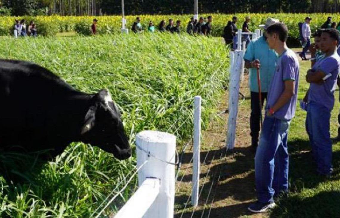 Circuito da Bovinocultura na AgroBrasília 2026 tem foco na produção de carne