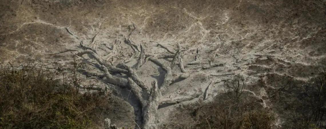Mudanças climáticas já afetam 85% dos brasileiros, diz pesquisa