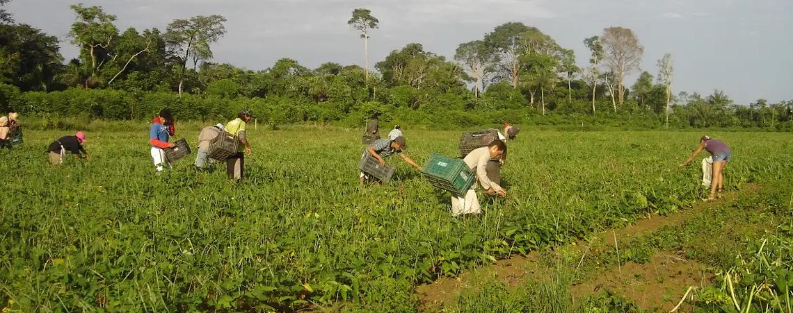 Prêmio para produção acadêmica destaca agricultura familiar 