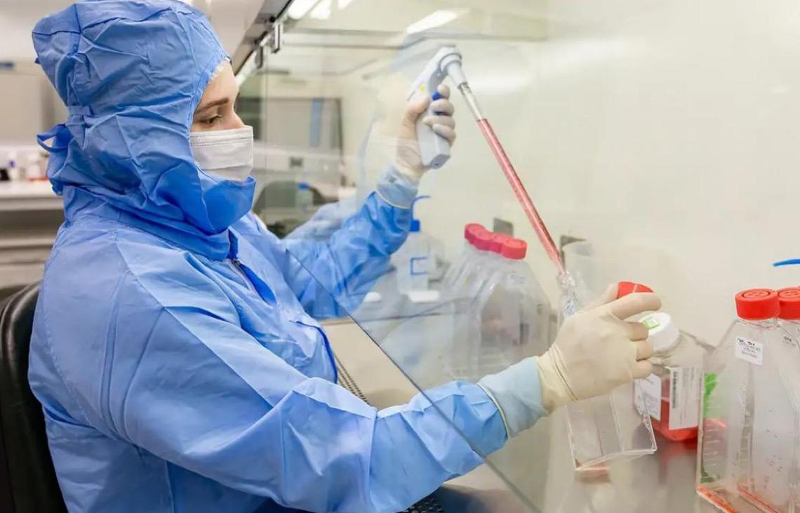 Estudo da PUCPR usa células-tronco contra complicações do transplante de medula