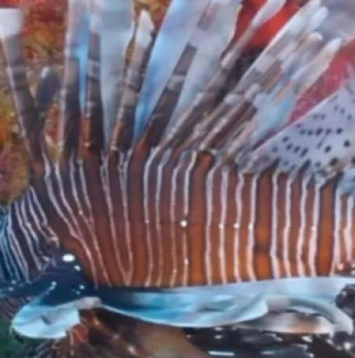 Peixe venenoso avança no litoral nordestino e ameaça a biodiversidade