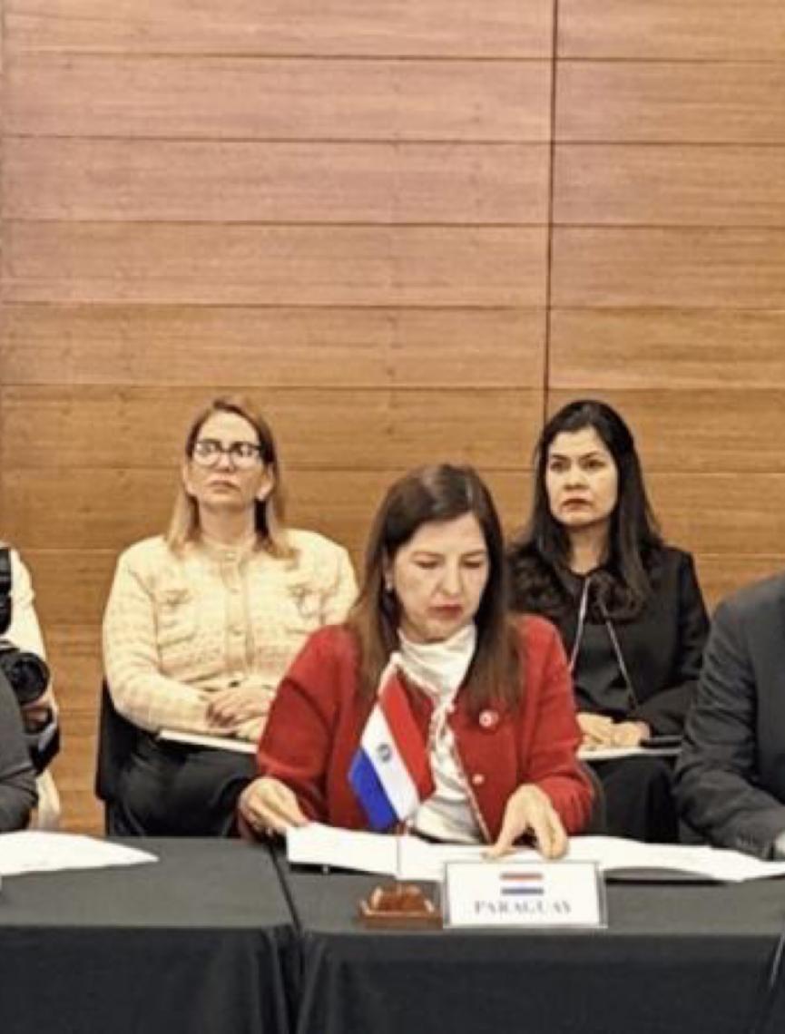 Brasil propõe a criação de um pacto regional contra feminicídio no Mercosul