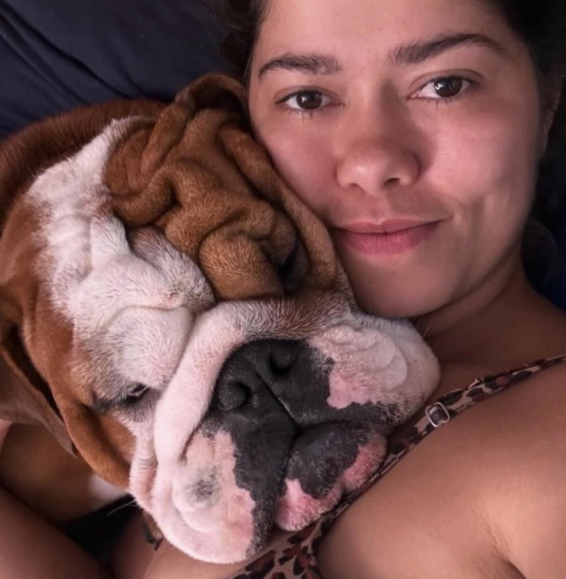 DF na Sua Porta amplia acesso à castração gratuita de cães e gatos