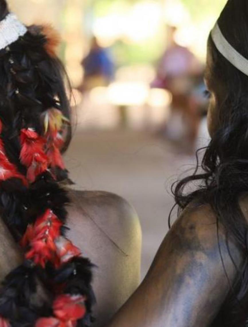 Missão da ONU vai avaliar proteção de povos indígenas isolados no Brasil