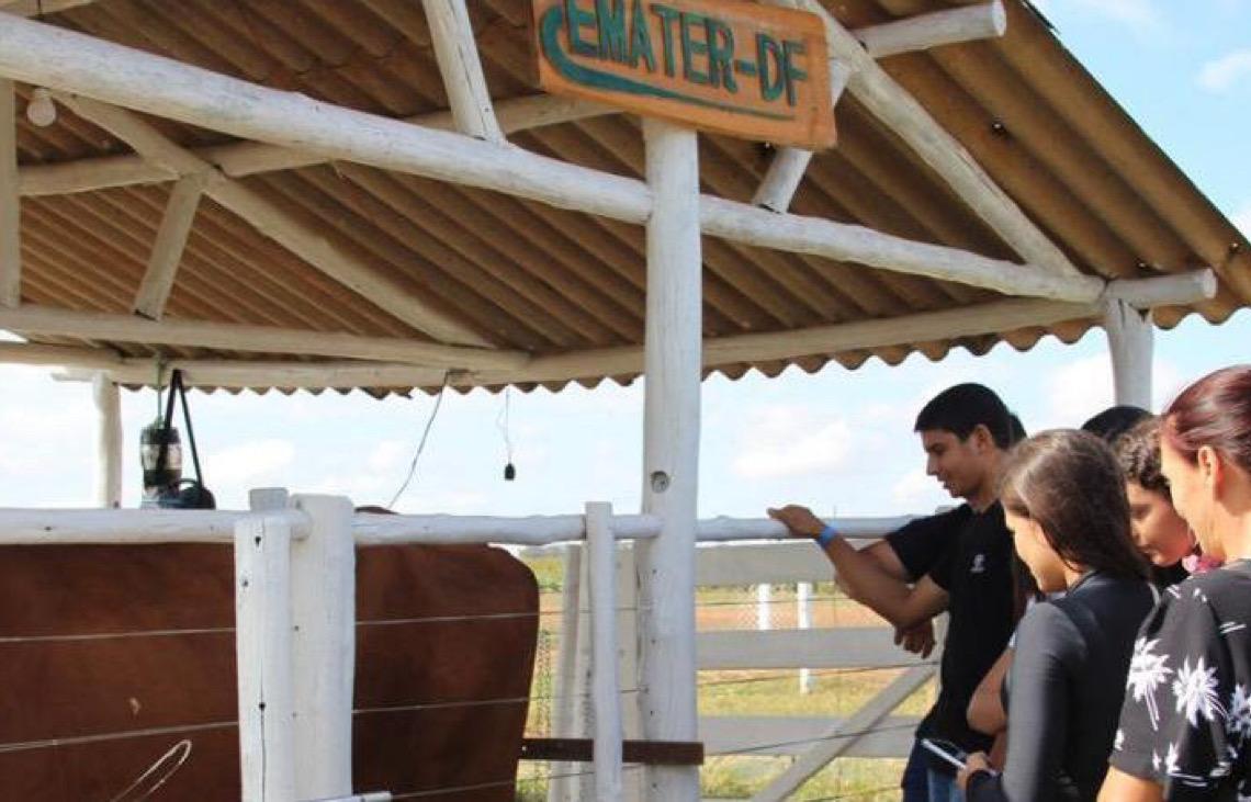 Distrito Federal mostra força com transferência de tecnologias durante a AgroBrasília 2026