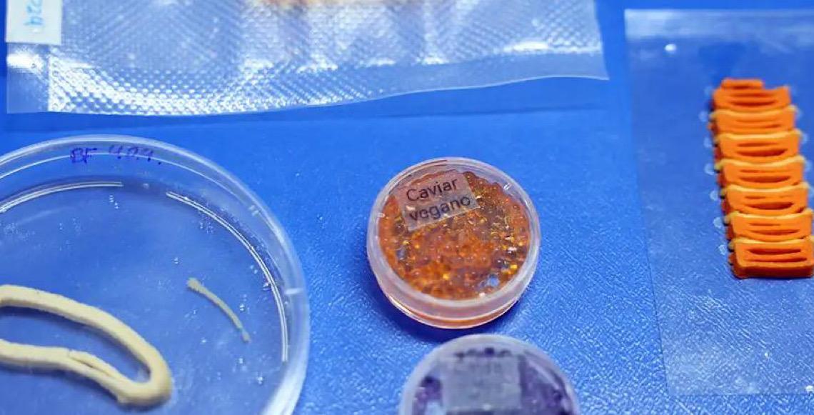Depois de 30 meses de pesquisa, Embrapa produz em laboratório salmão, caviar e anéis de lula veganos 