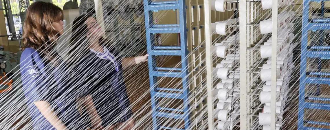 Finep financia estruturação da cadeia produtiva da malva na Amazônia