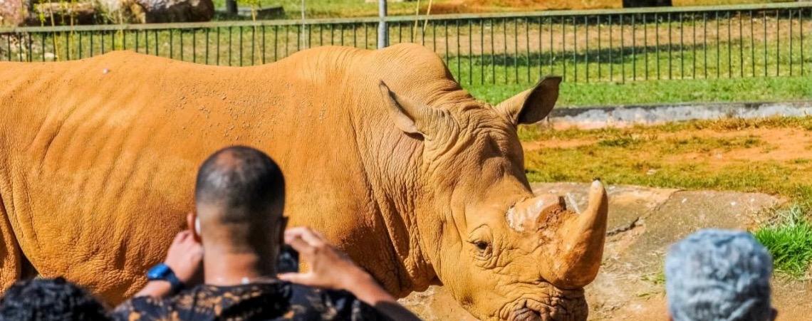 Capacitação garante mais segurança no manejo de animais no Zoológico de Brasília