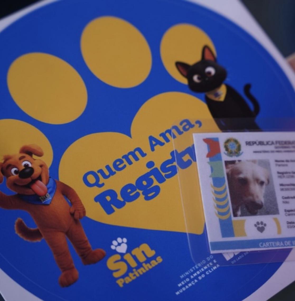 Junho e julho com 8 mil castrações e microchipagens gratuitas no Distrito Federal