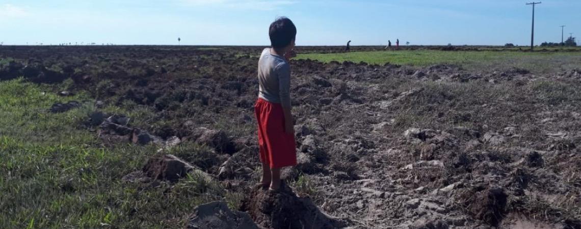 Fazendeiros usam agrotóxicos para expulsar aldeia indígena em Rondônia, diz MPF