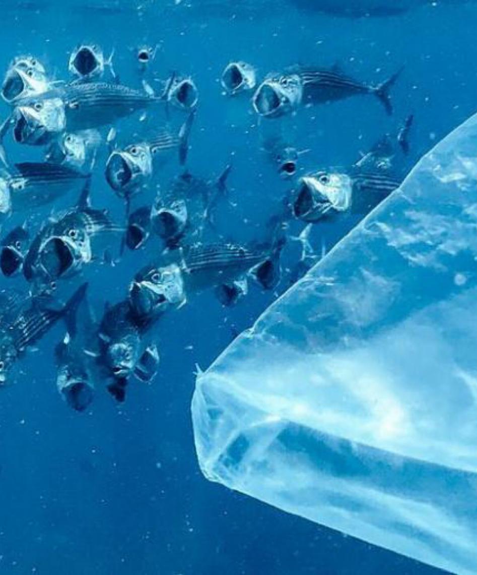 Relatório da ONU revela que oceanos estão mais elevados, aquecidos e poluídos