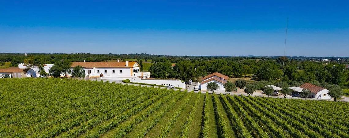 Vinho português pode ultrapassar argentino com queda de imposto no Brasil