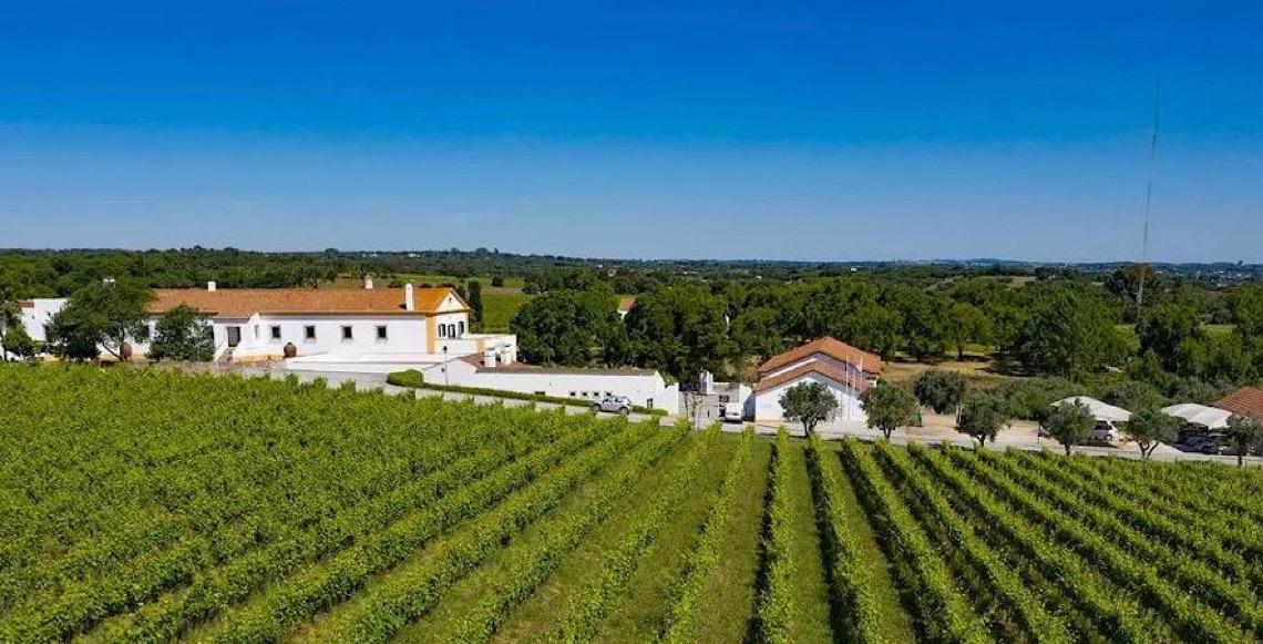 Vinho português pode ultrapassar argentino com queda de imposto no Brasil