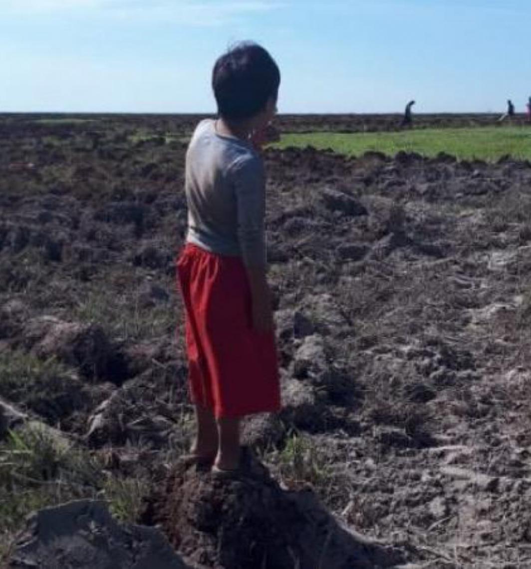 Fazendeiros usam agrotóxicos para expulsar aldeia indígena em Rondônia, diz MPF