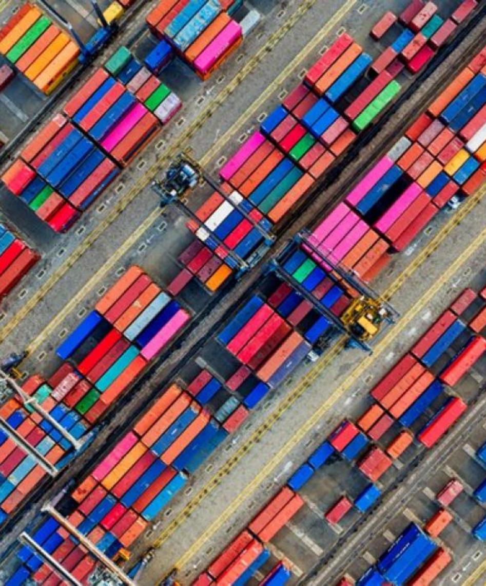 Parceiros comerciais abrem 13 novos mercados para o Brasil. São 639 desde 2023