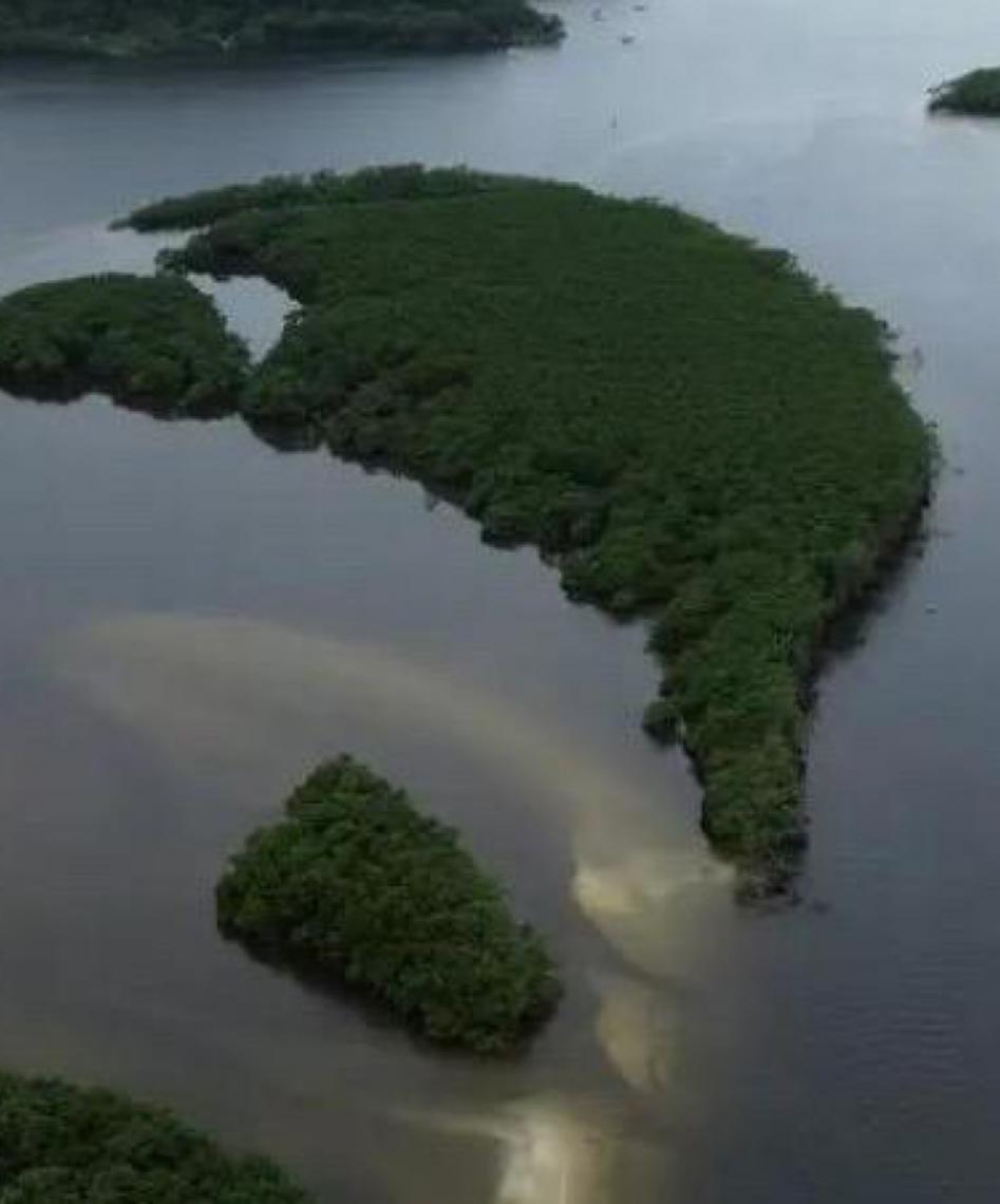 Carbono azul ganha espaço na agenda climática dos oceanos no Dia Mundial dos Oceanos