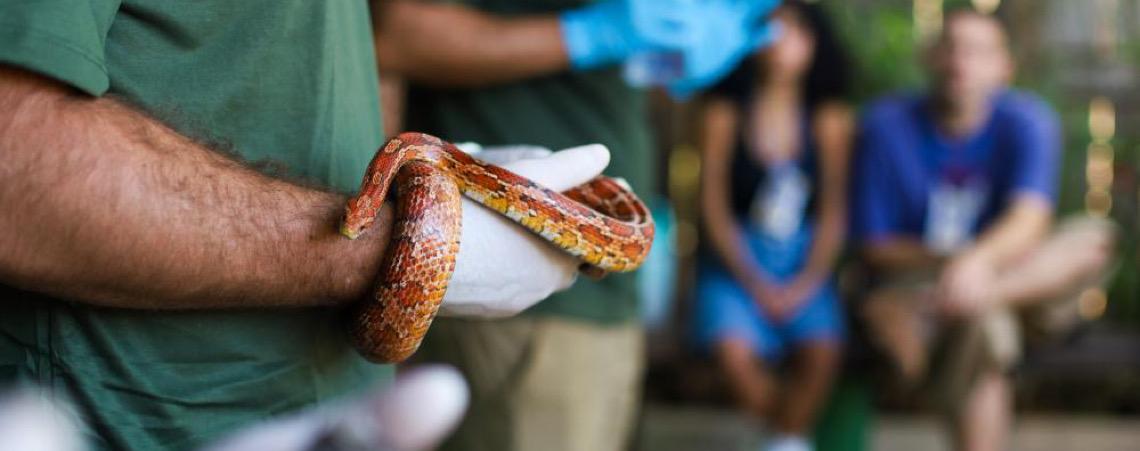 Abertas inscrições para estágio supervisionado obrigatório do Zoológico de Brasília