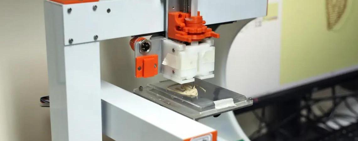 Carne de laboratório: Conheça a técnica desenvolvida pela Empresa Brasileira de Pesquisa Agropecuária