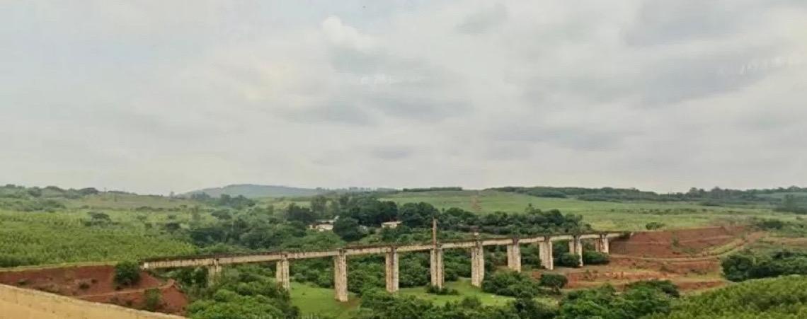 Deputadas acionam PF e MPF por comentários sobre morte de jovem em ponte