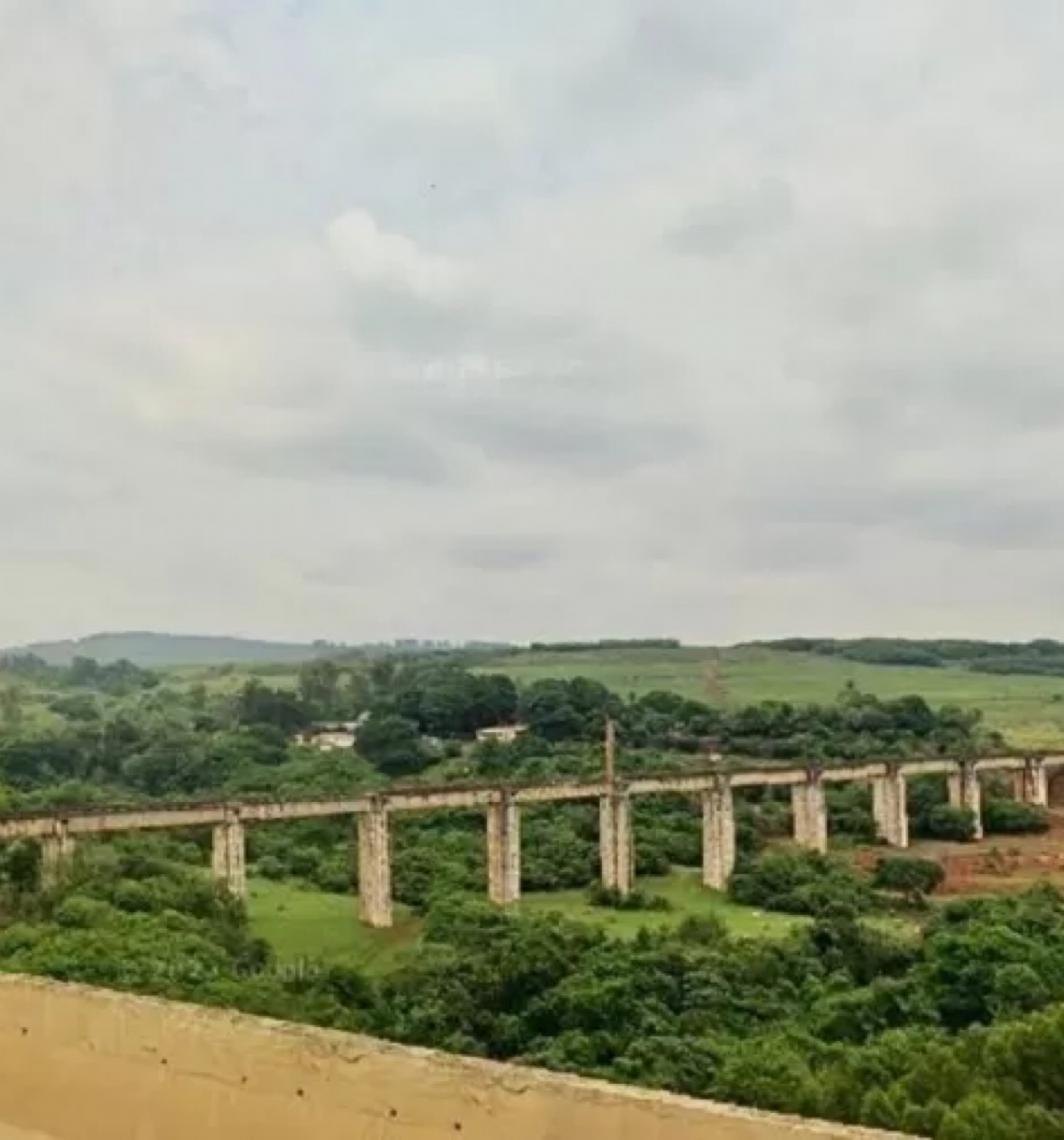 Deputadas acionam Policia Federal e MPF por comentários sobre morte de jovem em ponte
