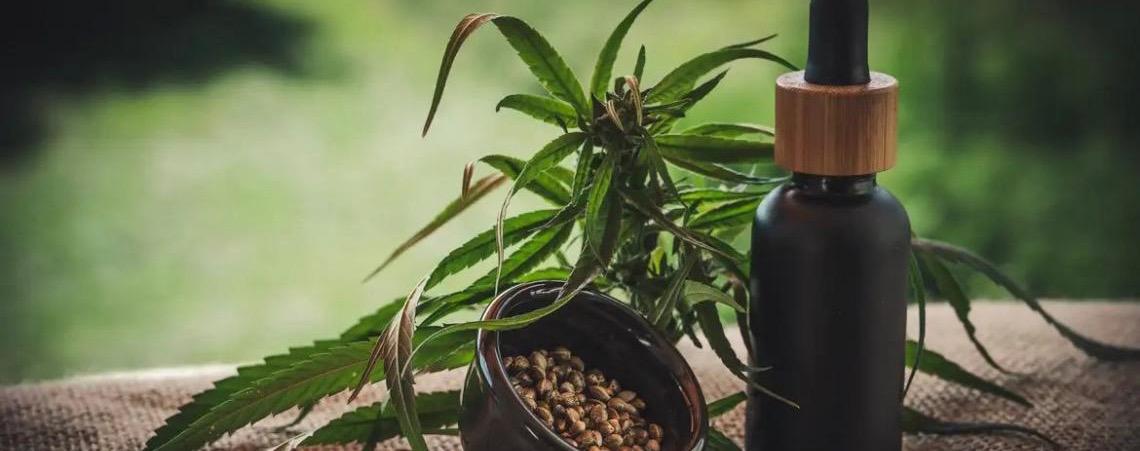 Projeto apoia mães e crianças atípicas tratadas à base de cannabis