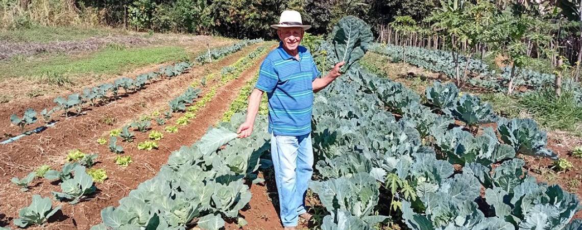 Renda da agricultura familiar cresce até 30% e dependência do CadÚnico cai