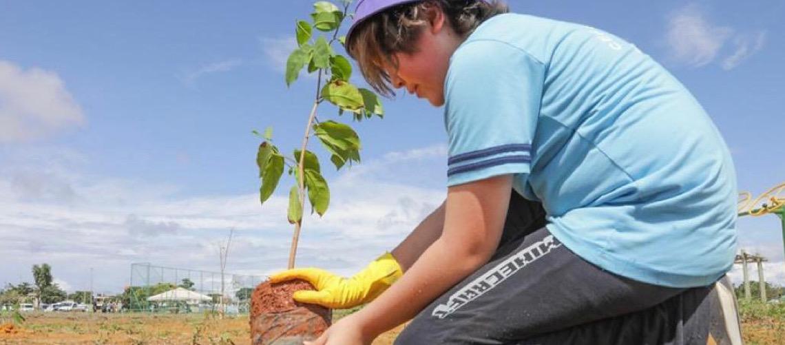 Programa de reflorestamento do Cerrado vai reforçar a segurança hídrica do DF