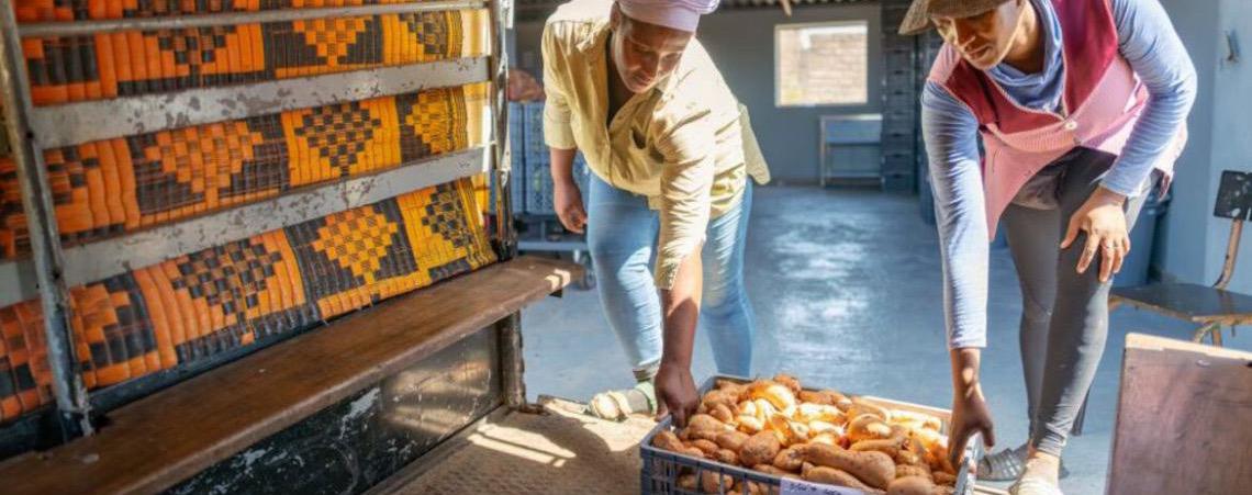 Iniciativa do Banco Mundial promove emprego jovem em Cabo Verde