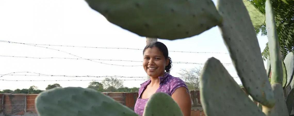 Mulheres comandam produção em duas em cada dez propriedades rurais