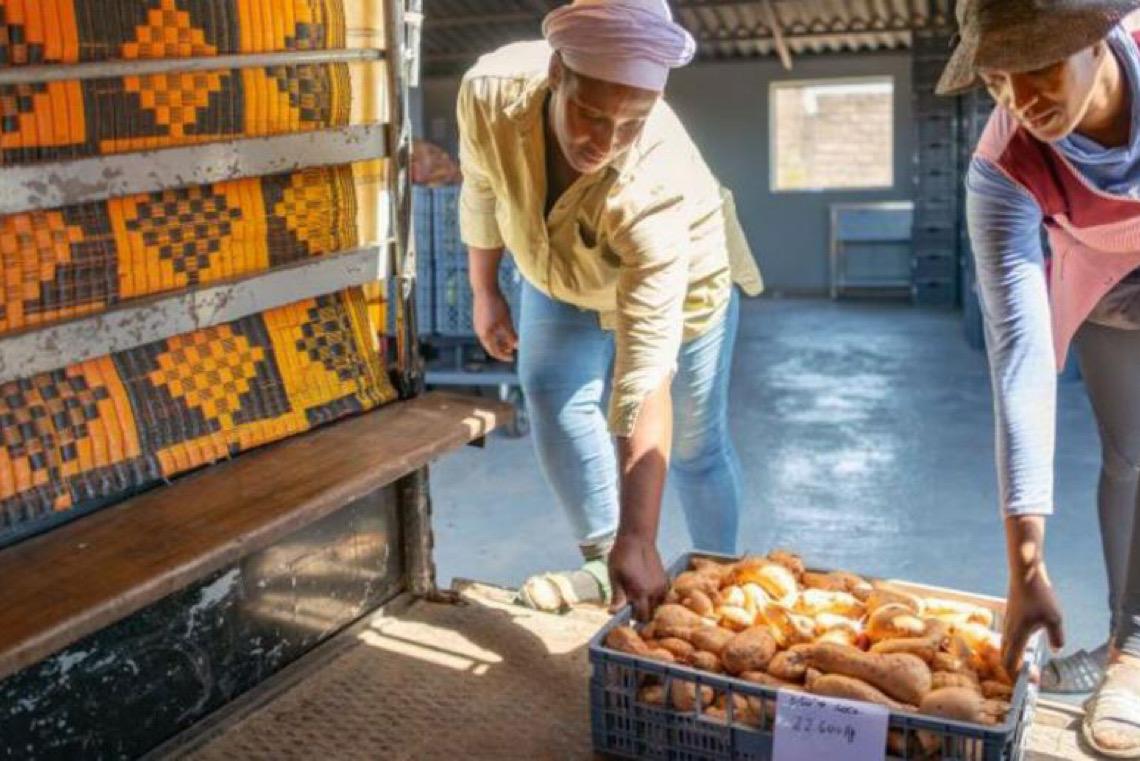 Aprendizagem e emprego: Iniciativa do Grupo Banco Mundial promove emprego jovem em Cabo Verde
