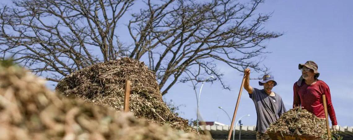 Sistemas agroecológicos de quatro biomas são criados em Brasília