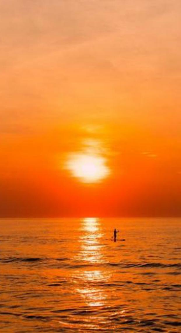 Onda de calor na Europa bate recordes e expõe crise climática