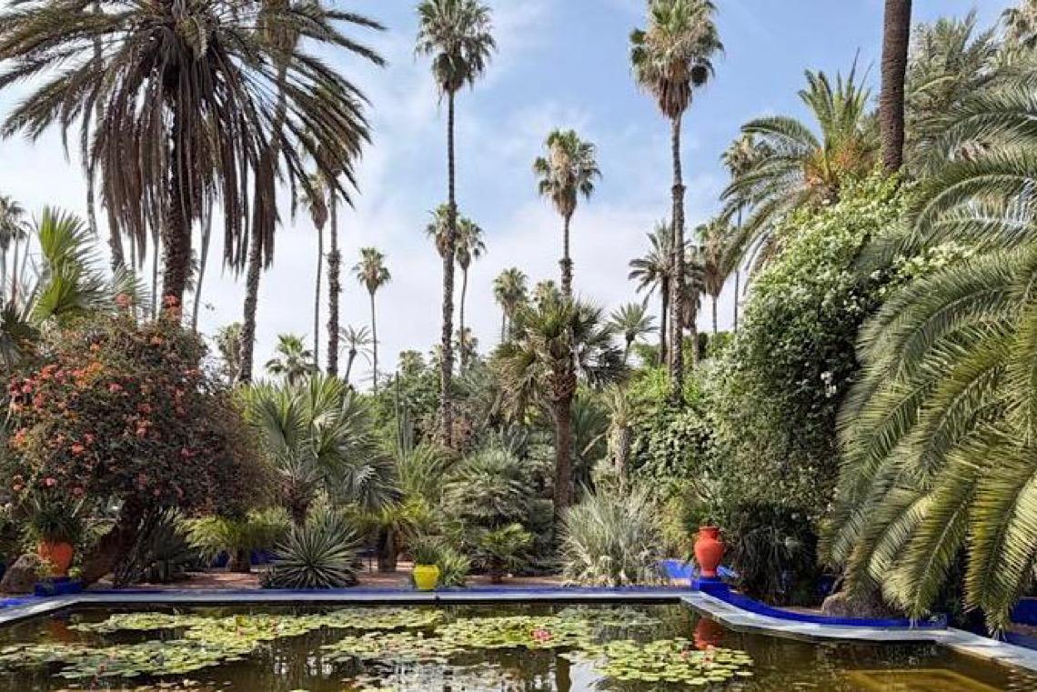 Obra de arte a céu aberto com plantas do mundo: A Marrakech que encantou Yves Saint Laurent