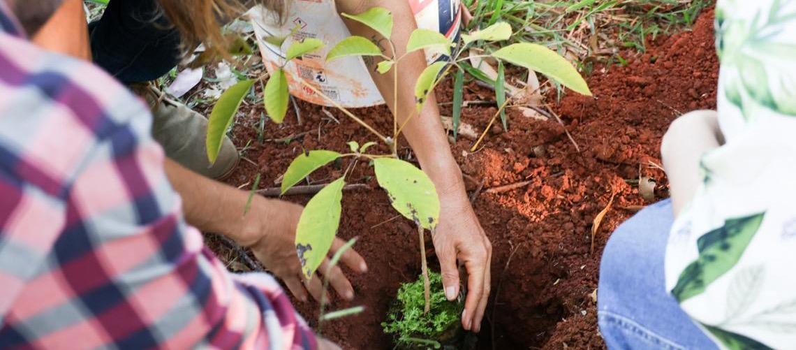 Escola da Natureza celebra 30 anos de educação ambiental no Distrito Federal