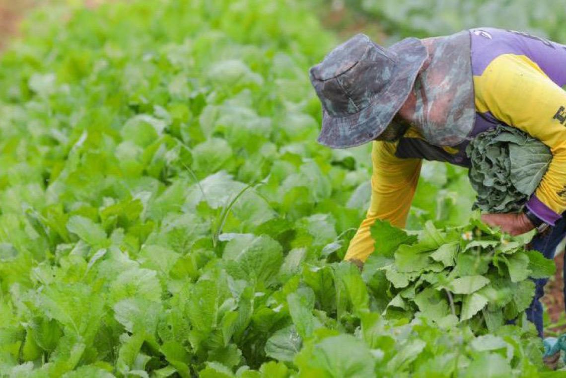 Aberta chamada para compra de alimentos da agricultura familiar para animais do Zoo