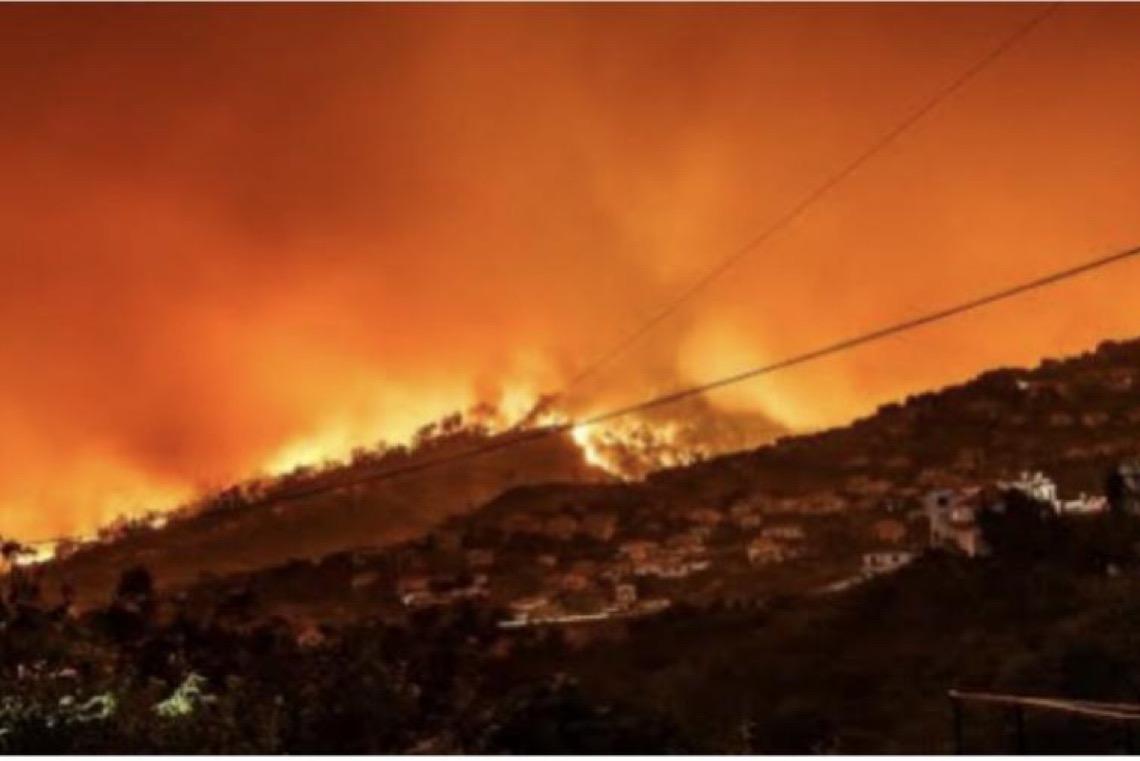 Área queimada por incêndios florestais em Portugal quase quadruplica em termos anuais devido ao calor extremo