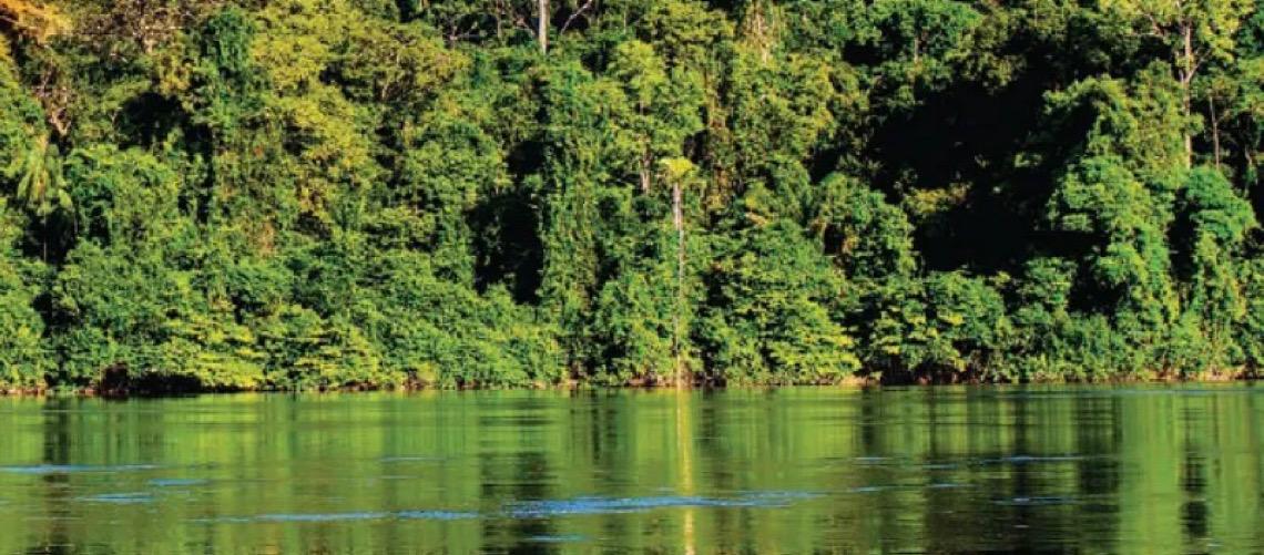 Amazônia tem menor índice de desmatamento para o 1º semestre em uma década