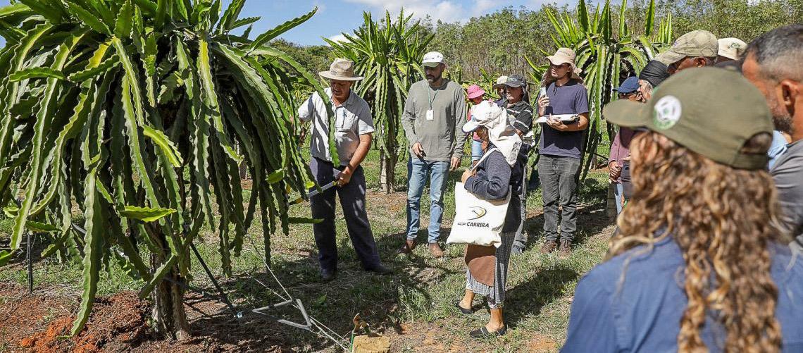 Saiba como funciona assistência técnica e extensão rural gratuita para produtores no DF