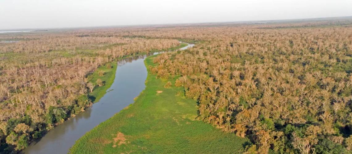 Pantanal perdeu 80% das águas superficiais em 38 anos e incêndios severos disparam
