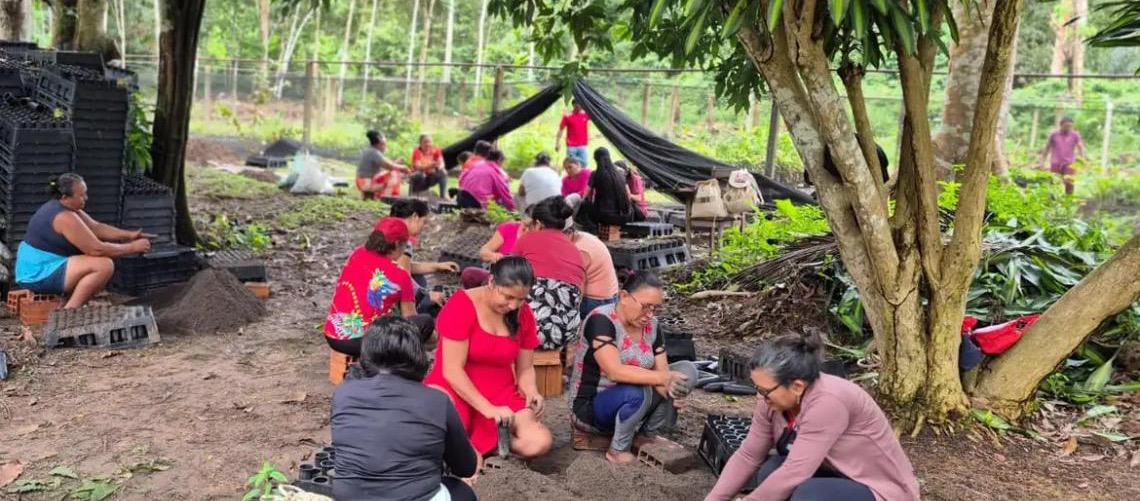 Mulheres da Amazônia se unem para enfrentar as mudanças climáticas