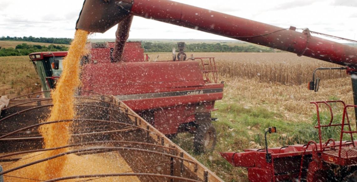 Governo editará MP para dívidas do agro com juros menores para quem perdeu três safras