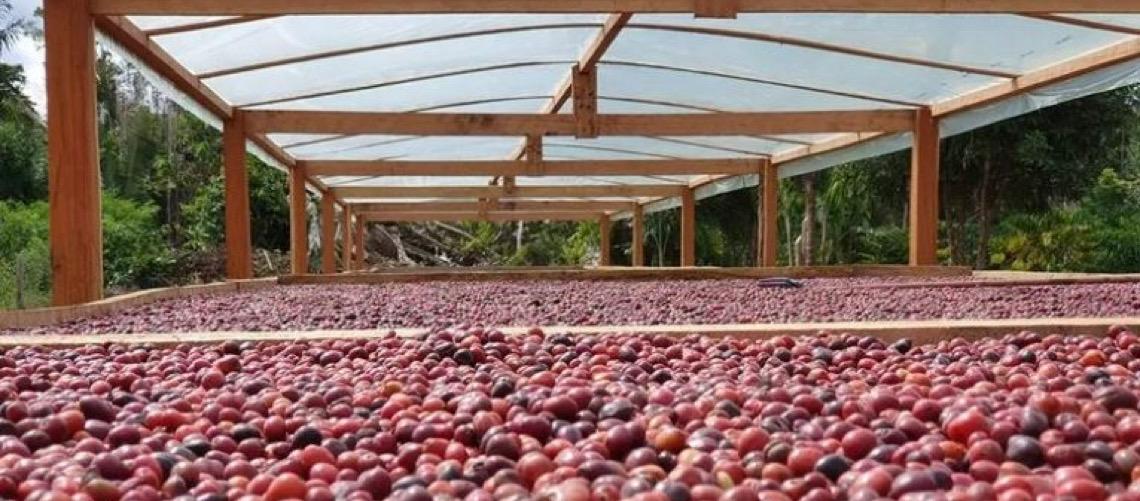 Brasil amplia exportações para o Líbano e somam no ano US$ 266,1milhões